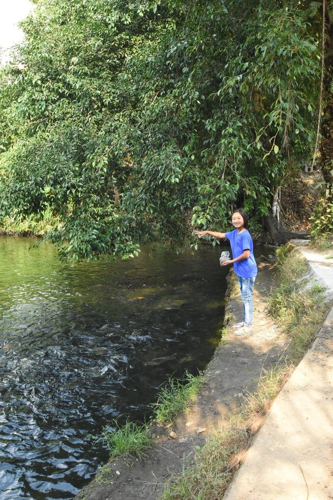 Ranong Canyon