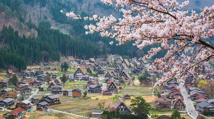 Matsuo Basho Kuhi
