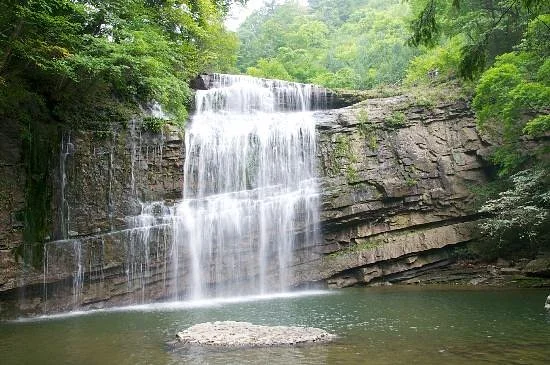Liping Forest Park