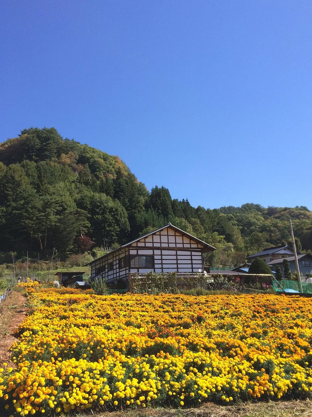Liuku Village