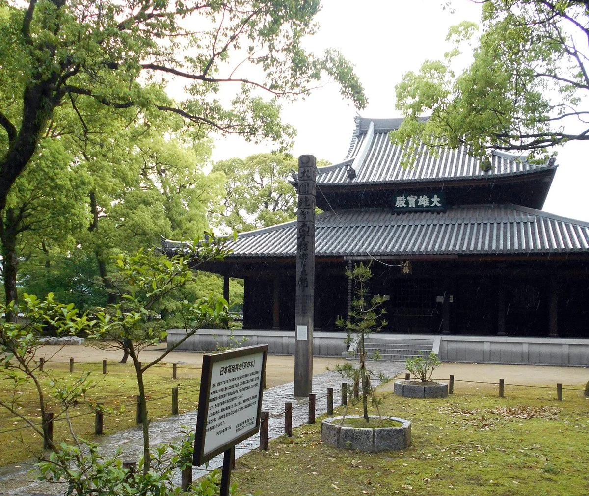 Nihoncha Hassho no Cha no Ki