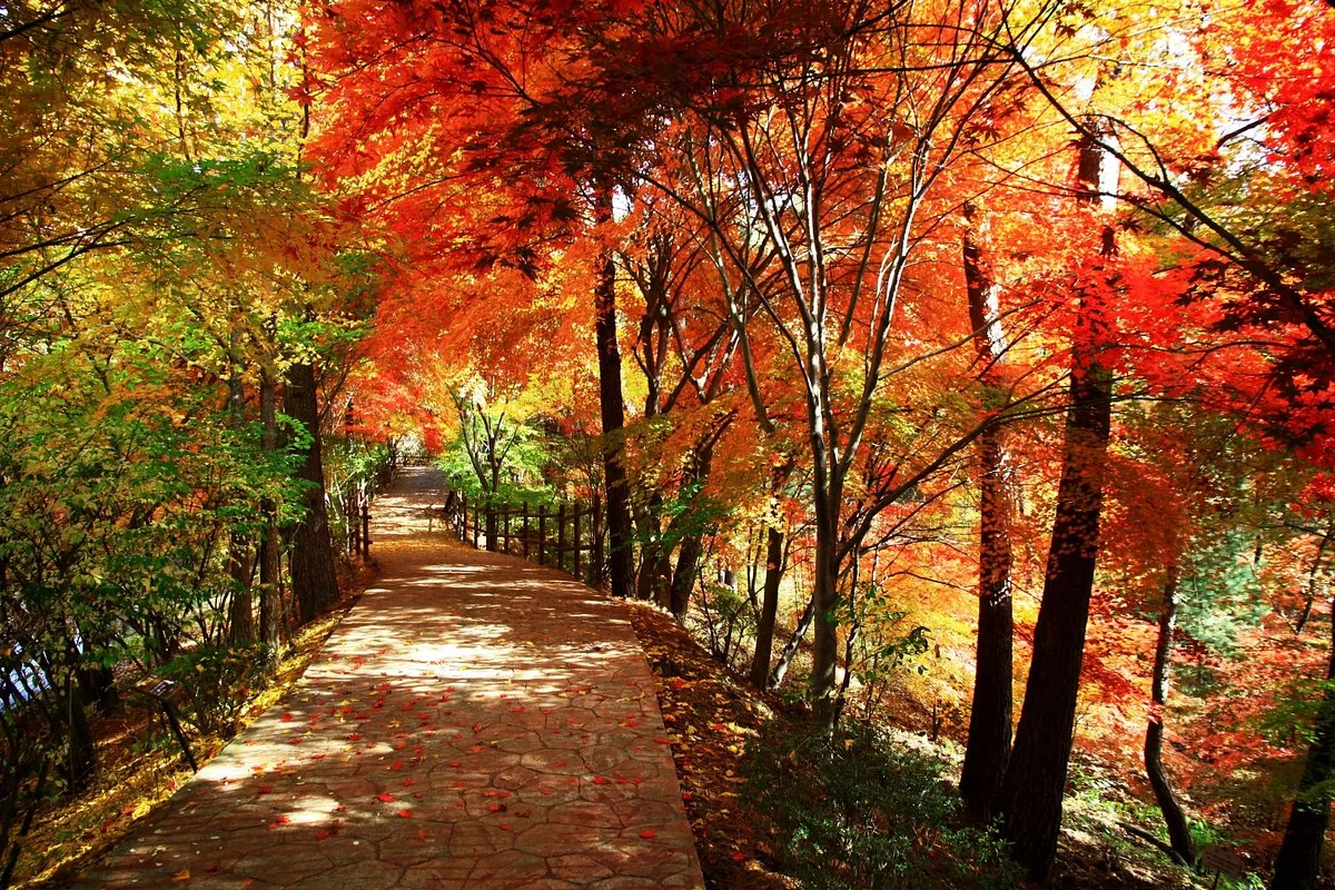 Cheongnamdae