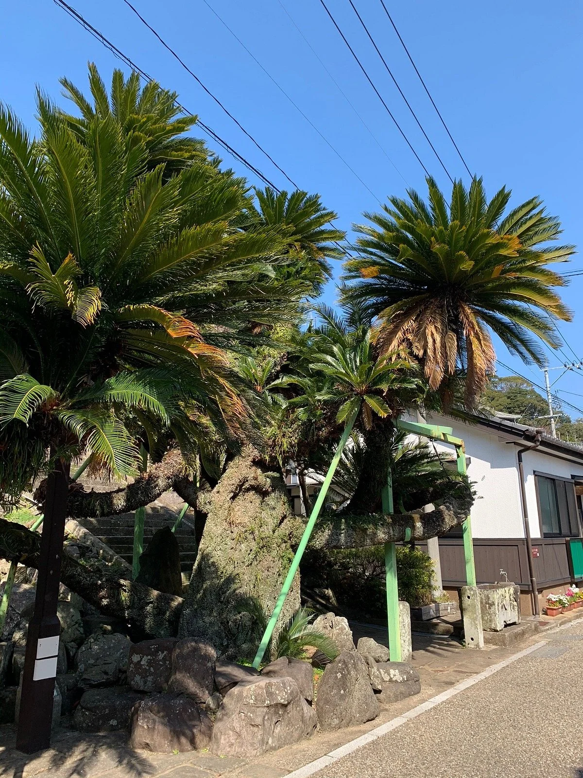 Osotetsu