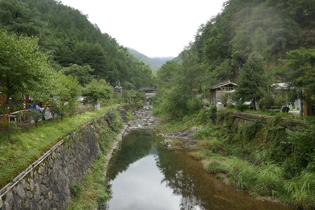 Lishui Qingyuan Baishanzu Scenic Resort