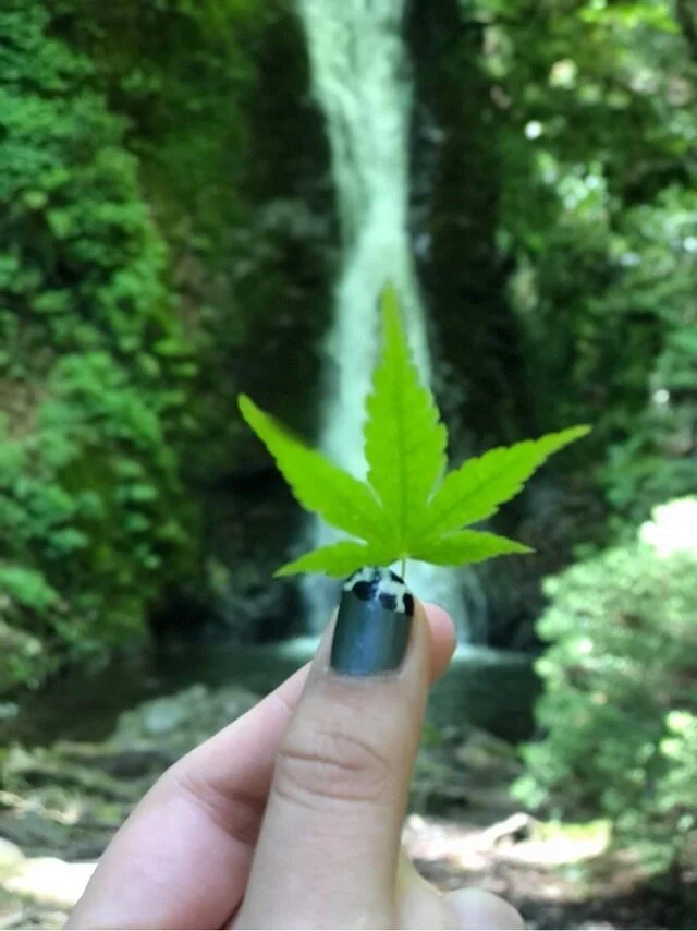 Yokono Waterfalls