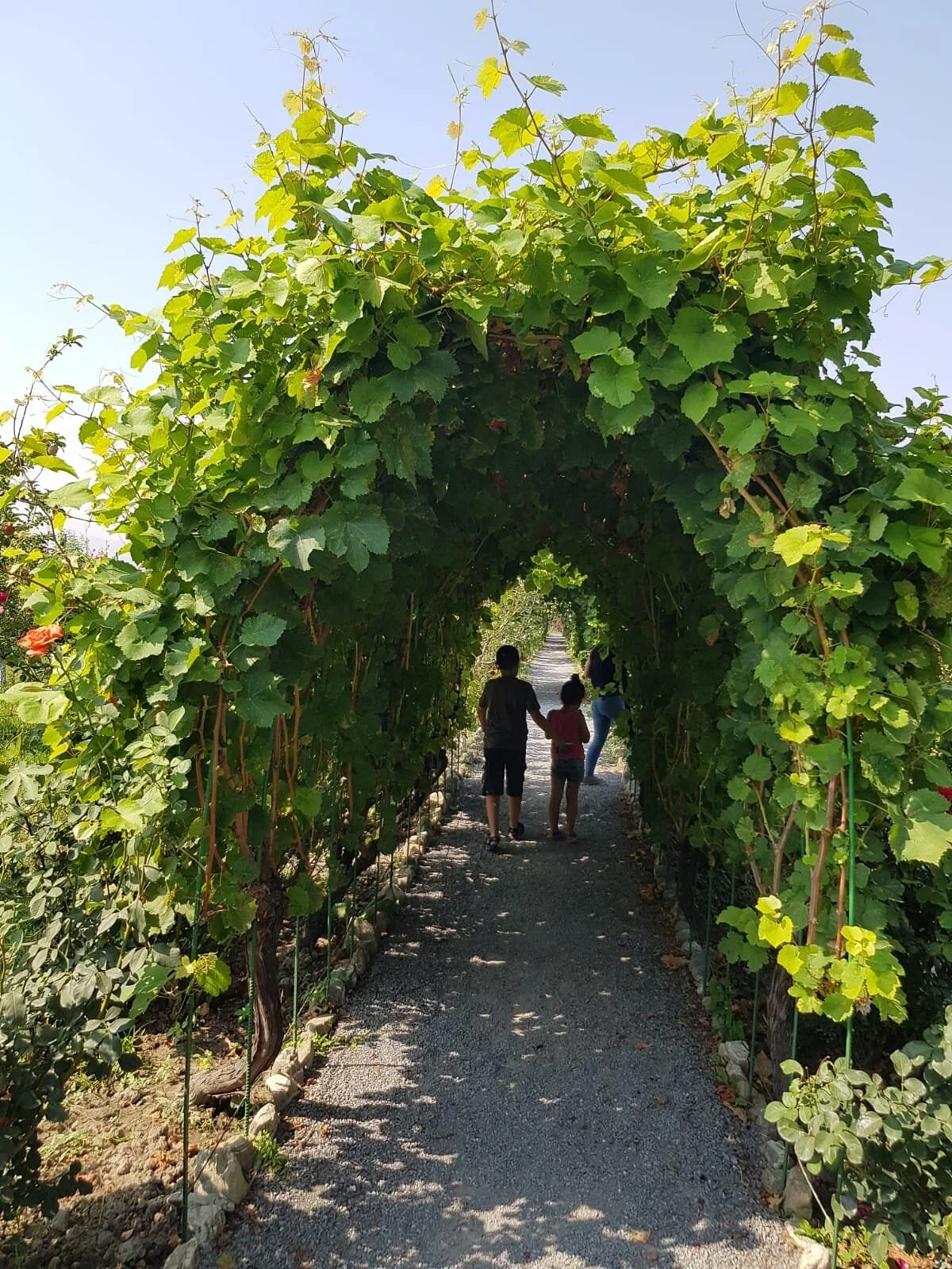 Bio Garden