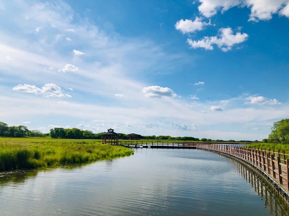 Sanjiang Marsh Nature Reserve