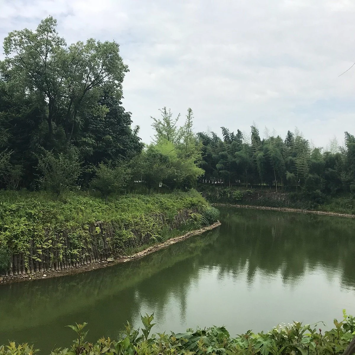 Anji Bamboo Museum Garden