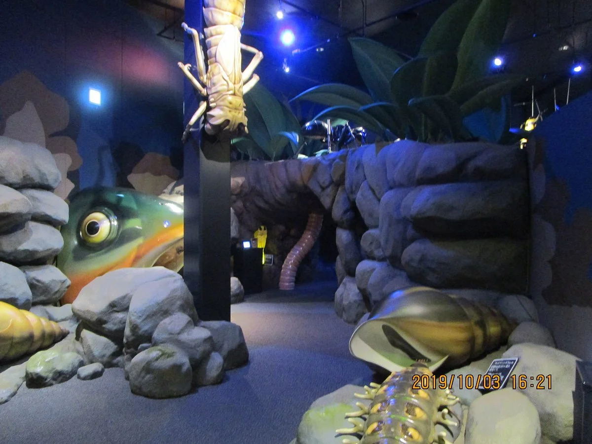 The Firefly Museum of Toyota Town