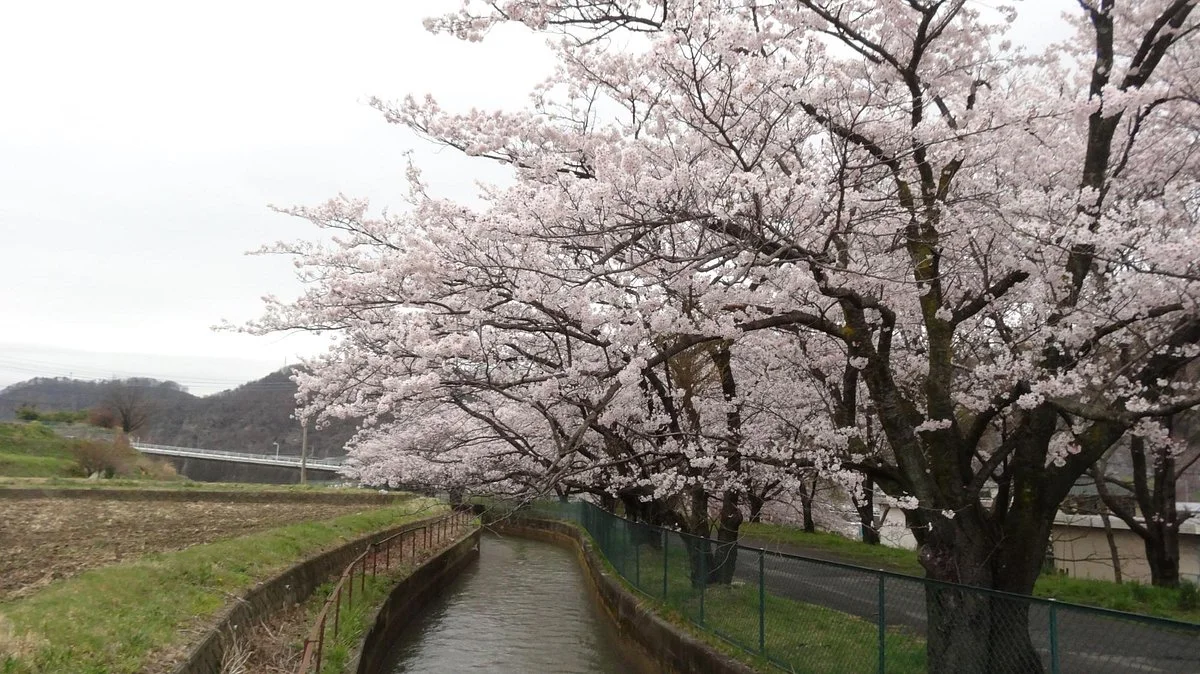 Tokushimasegi