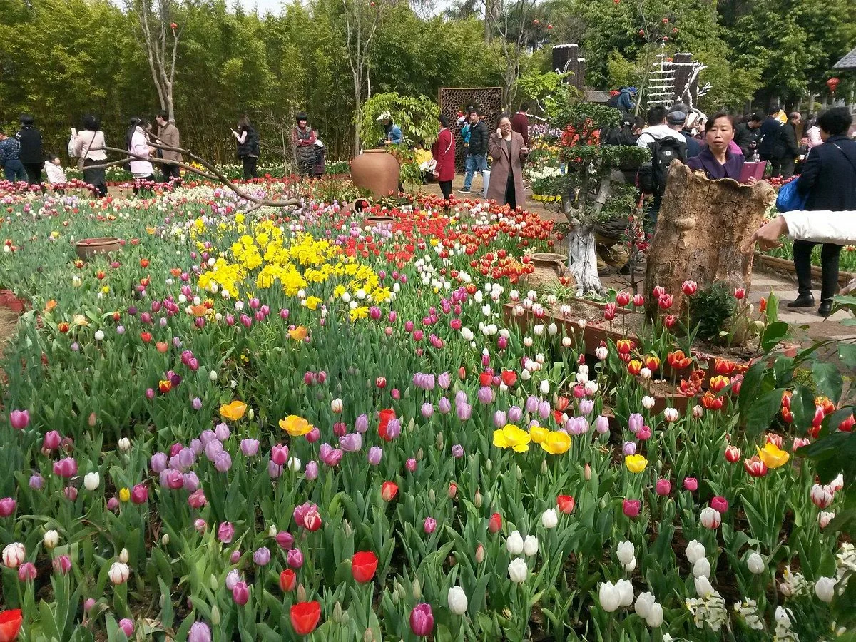 Garden Expo on Water