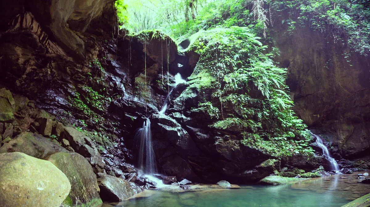 Taoyuan Sanmin Bat Cave