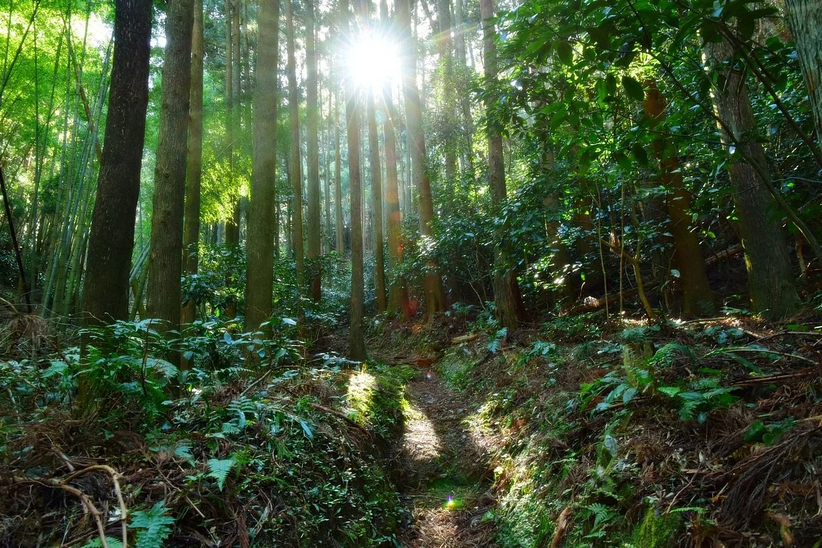 Utsunoya path