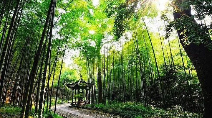 Anji Zhuxiang National Forest Park