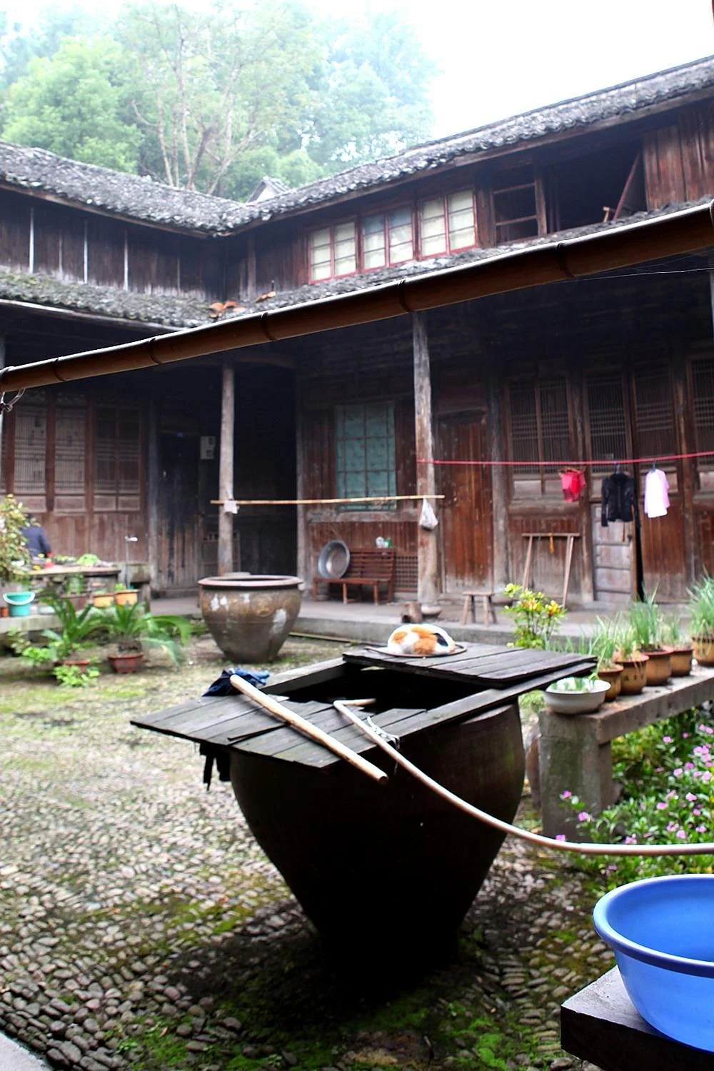 Qianzhu Room