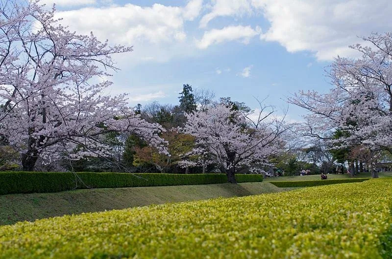 Sakura Castle Site Park