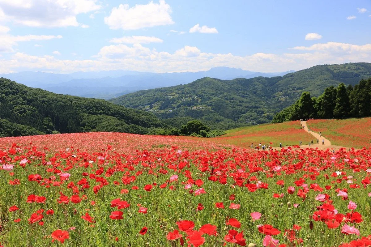Chichibu Kogen Farm