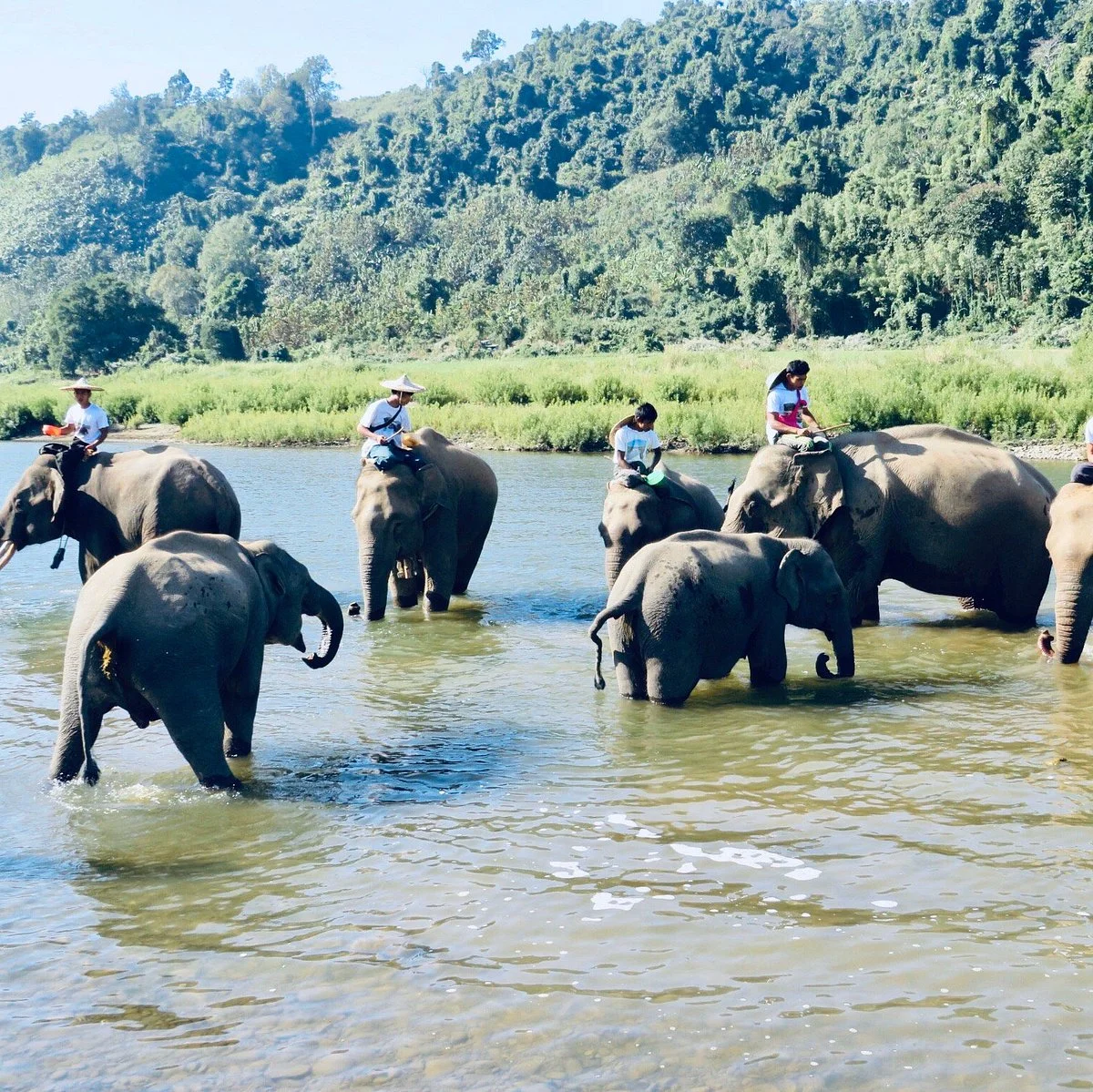 Ngapali Elephants Sanctuary