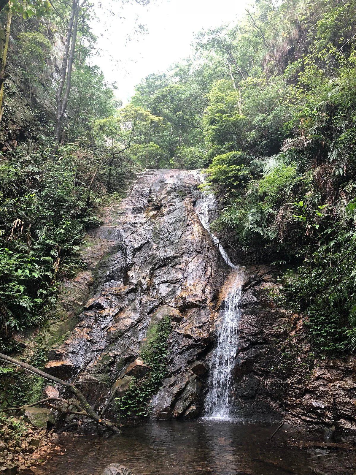 Mt. Prince Forest Park