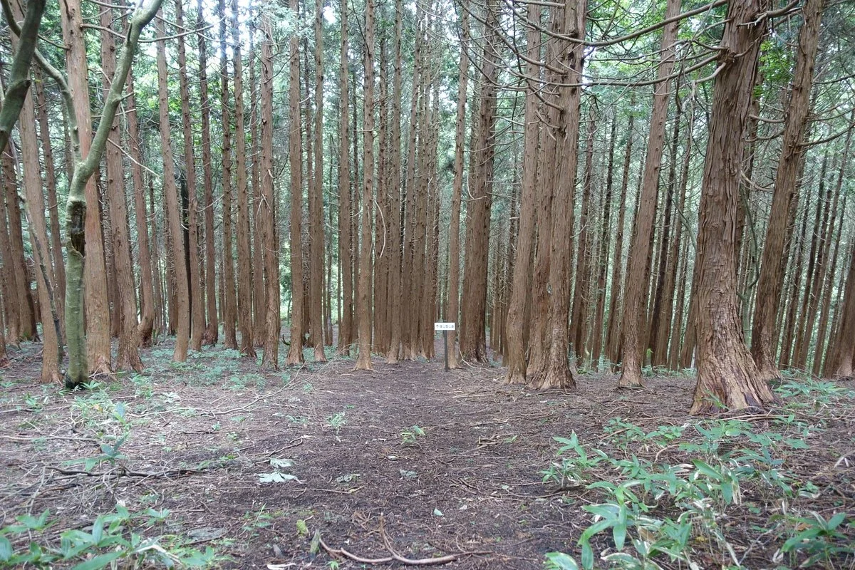 Mt. Onzen