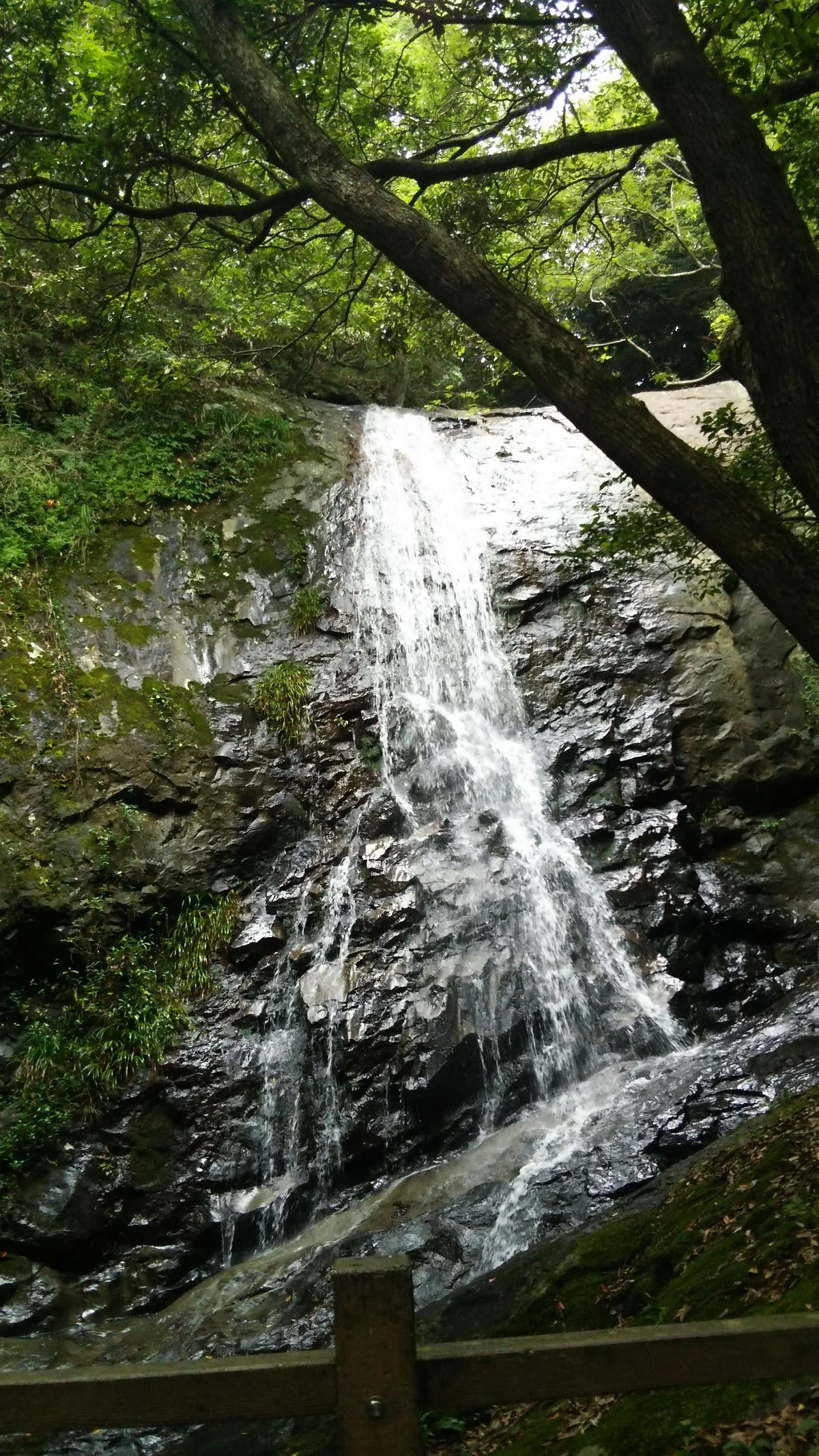 Narutaki