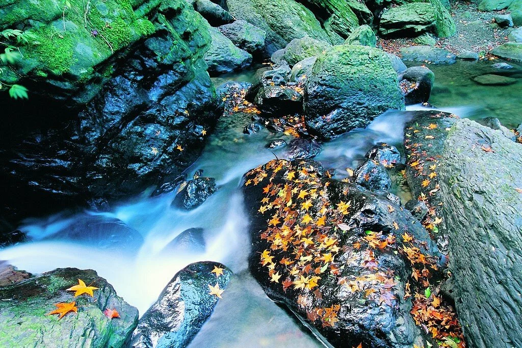 Manyueyuan National Forest Recreation Area