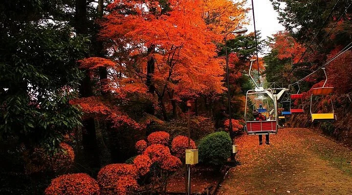 Nagaike Park Shizenkan