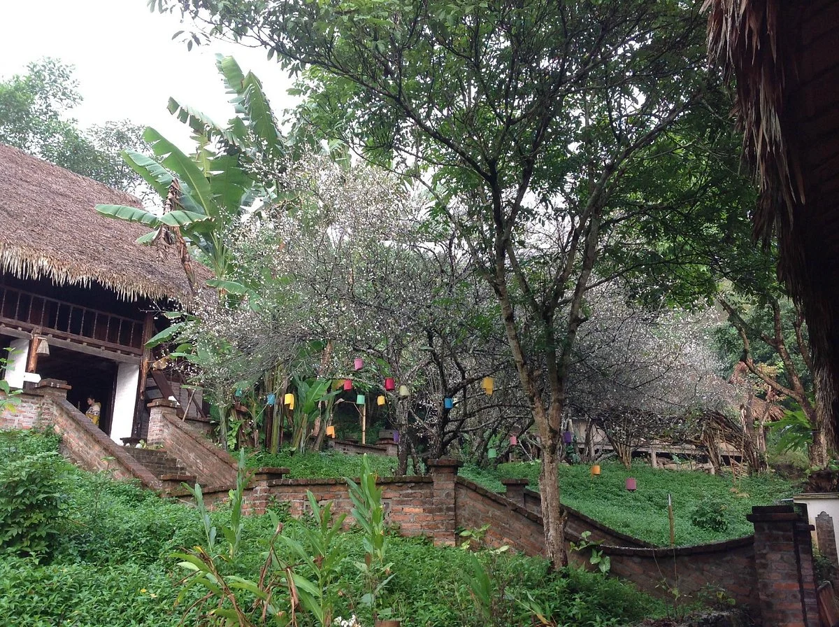 The Muong’s Culture Museum