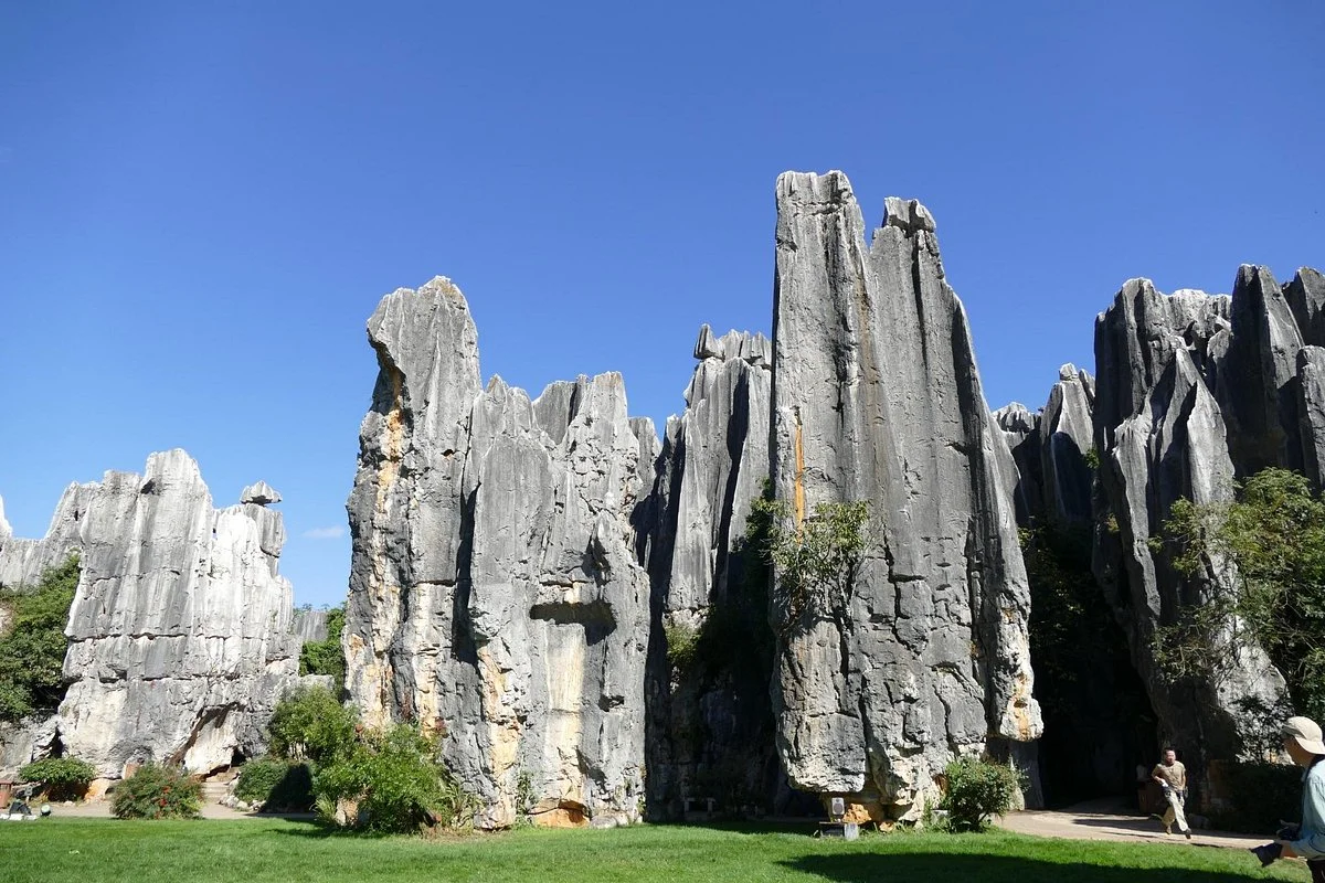Small Stone Forest