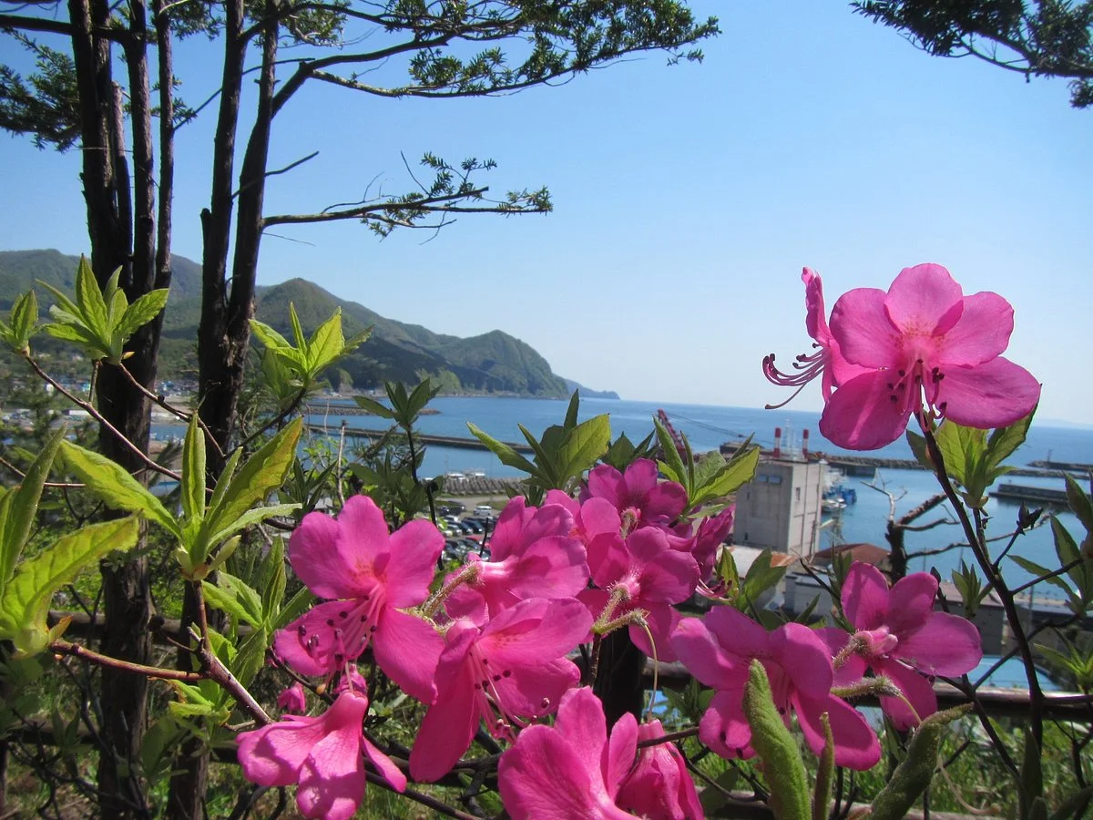 Fukushima Daijingu Shrine