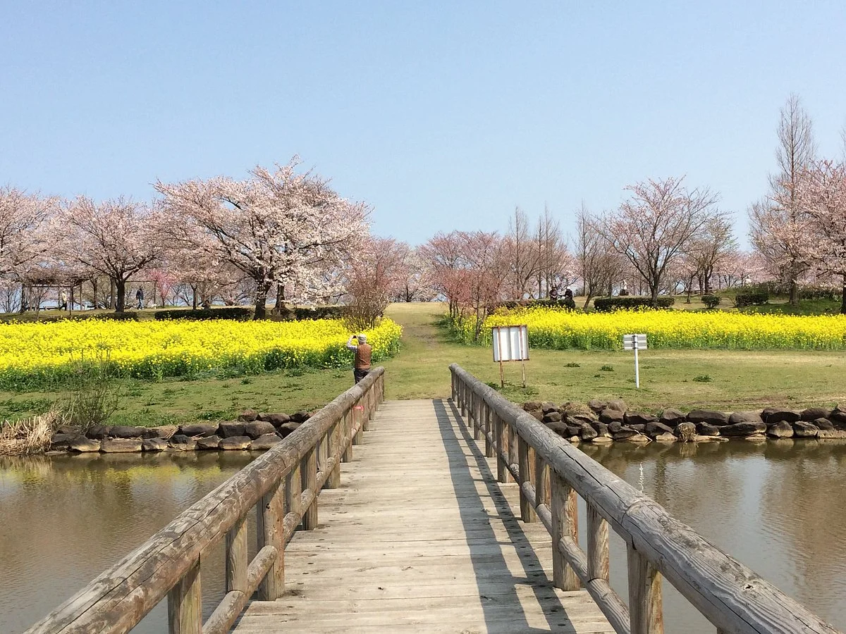 Uwasekigata Park