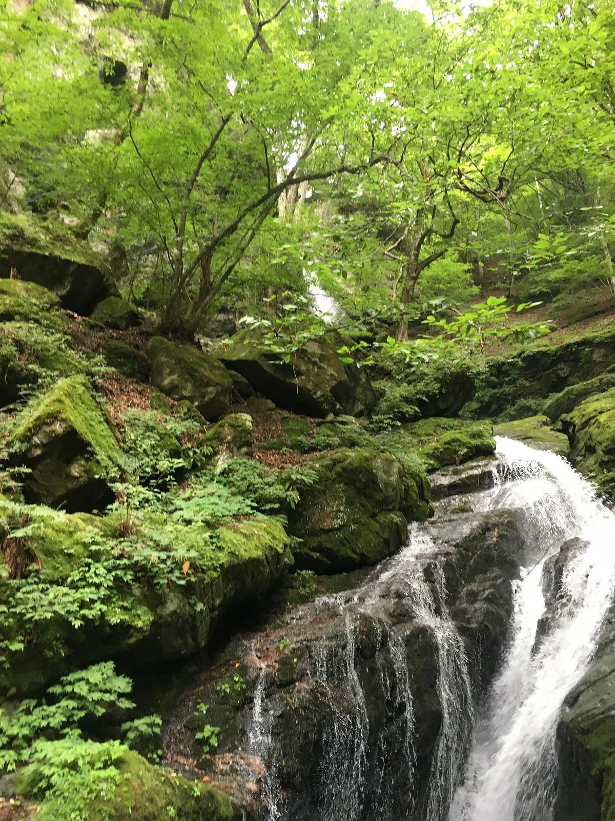 Fudo Falls