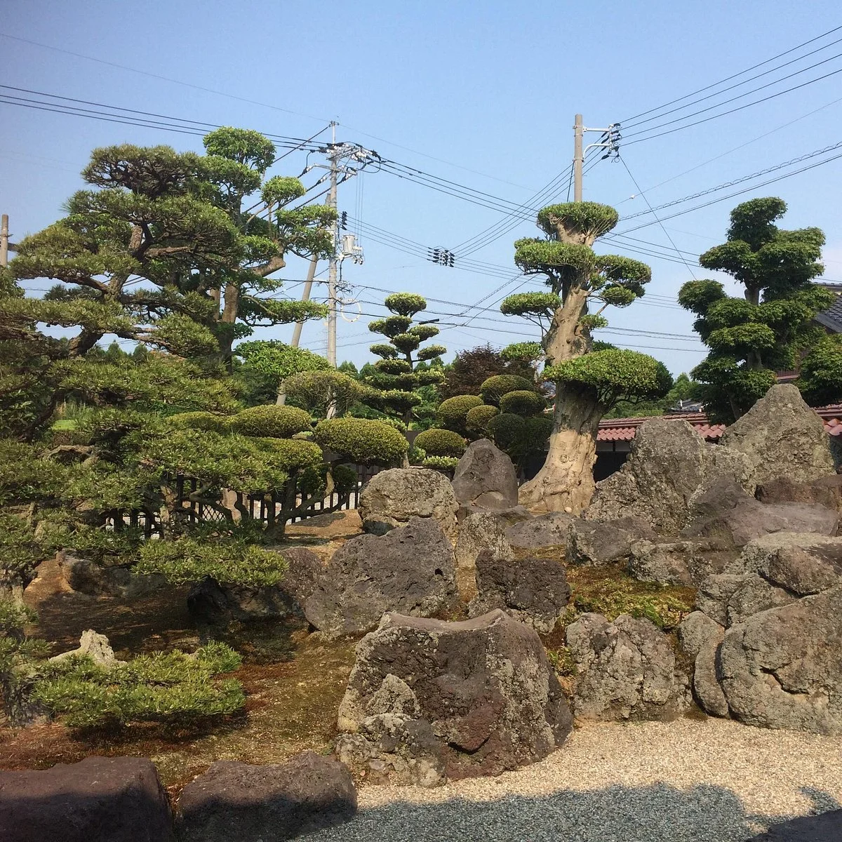 Mikamo Family House