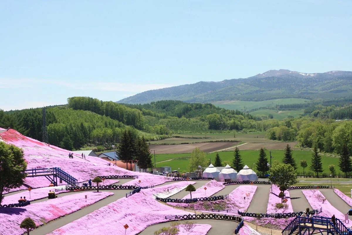 Higashimokoto Shibazakura Park