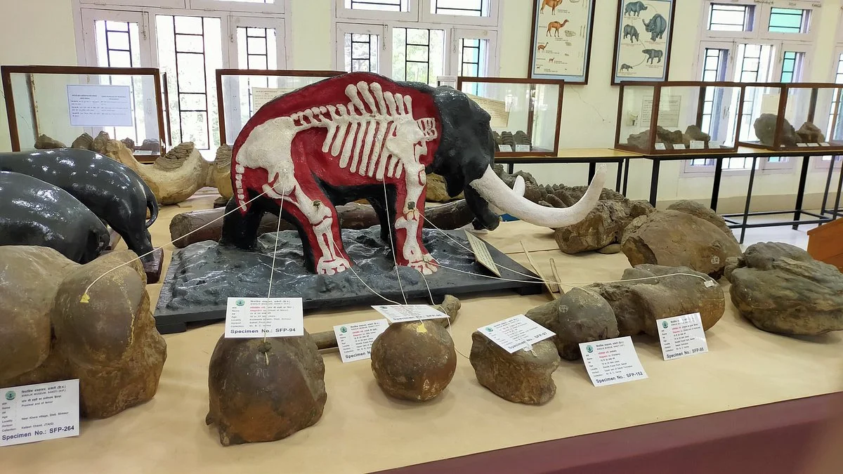 Shivalik Fossil Park