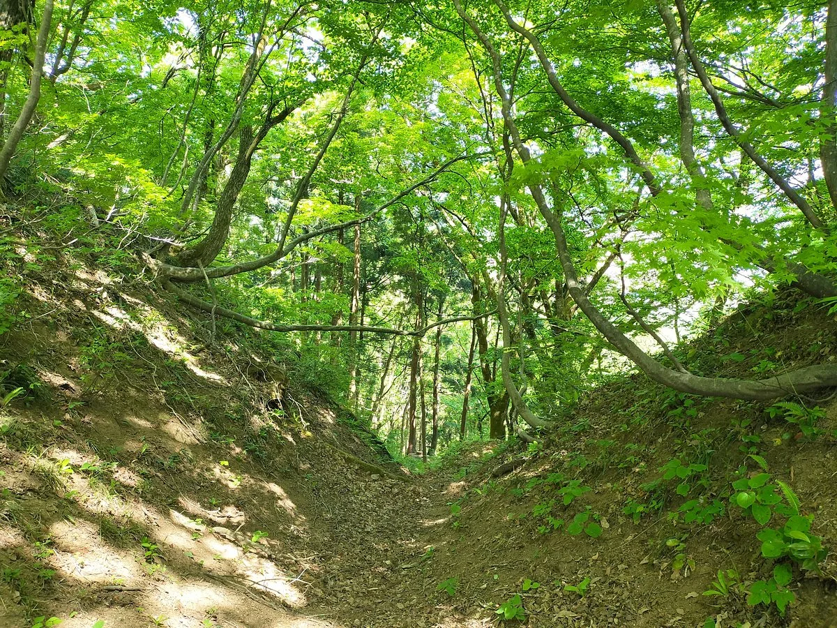 Echigo Hosogoe Castle Ruins