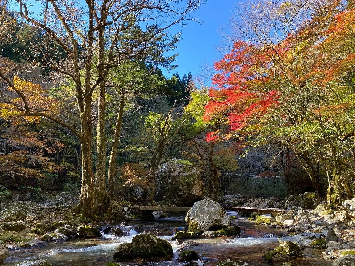 Mt. Odami Valley