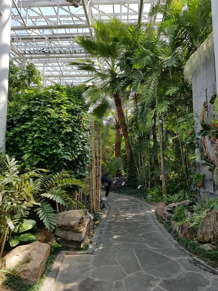 Tropical Botanical Garden