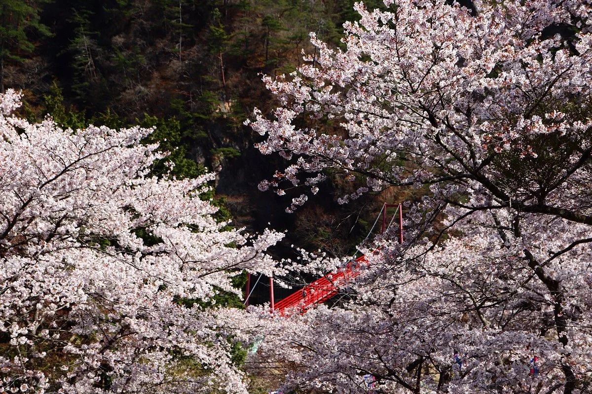 Yamatsuriyama Park