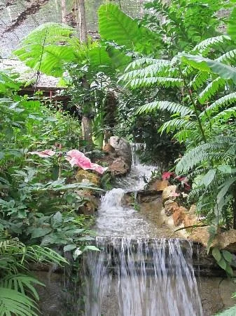 Butterfly Park & Insect Kingdom
