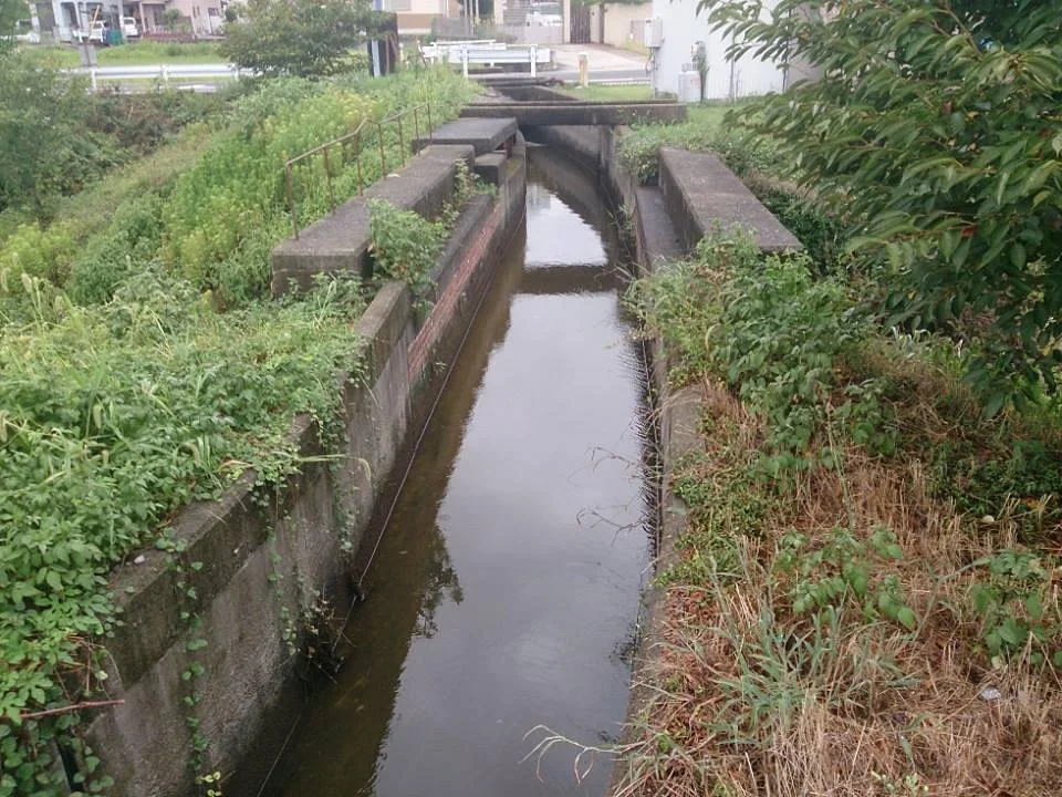 Kozumigawatoi