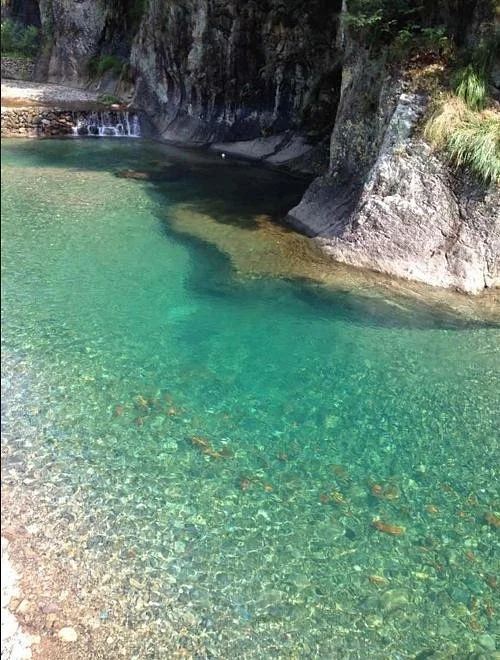 Danzhu Virgin Forest