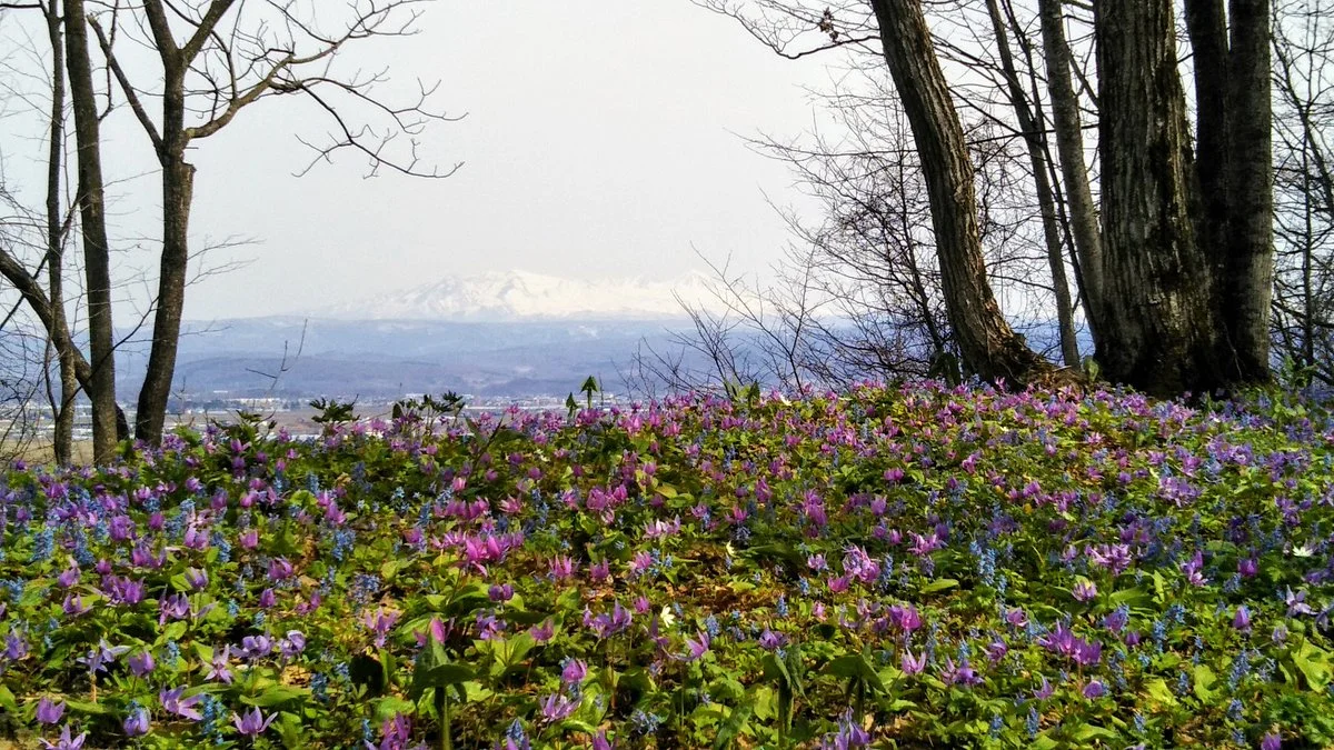 Otokoyama Nature Park