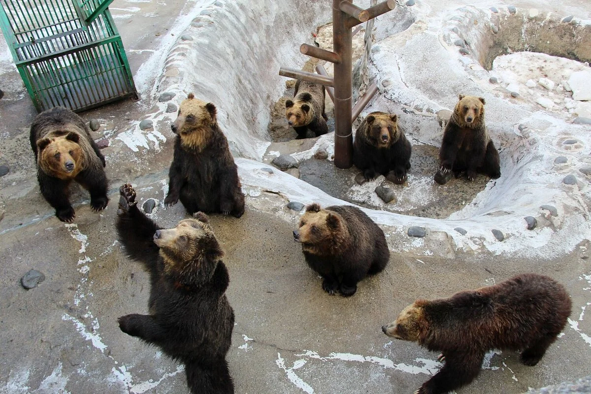 Noboribetsu Bear Park