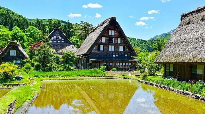 Yabuhara Kodamanomori