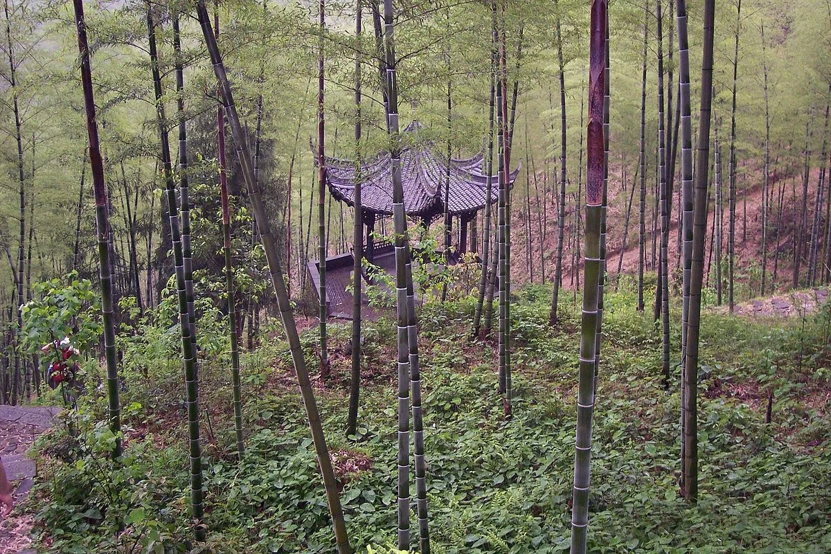 Xianxia Forest Park