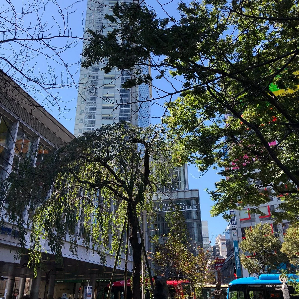 Statue of Hachiko & Hidesaburo Ueno