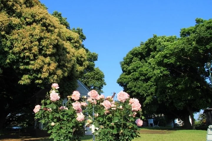 Yamate Park