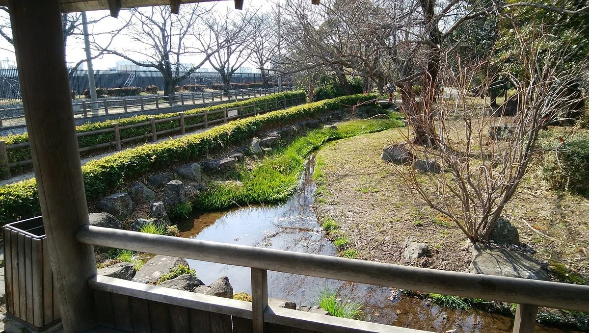 Okubo Josuijo no Sakura Namiki