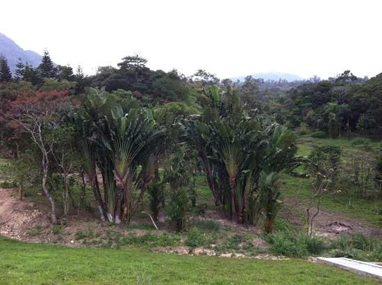 Xinglong Tropical Garden